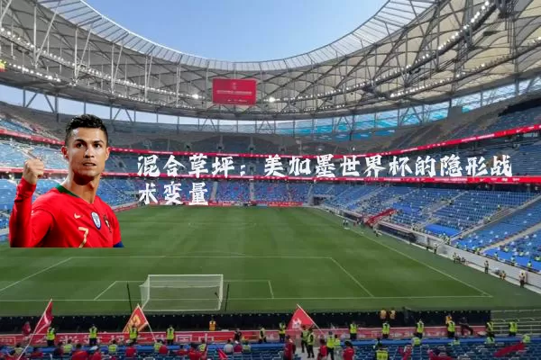 混合草坪:美加墨世界杯的隐形战术变量