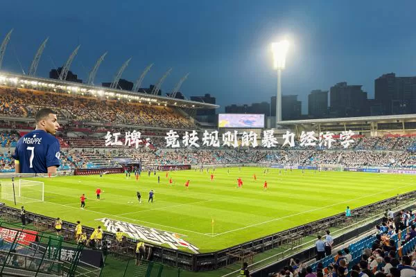 红牌:竞技规则的暴力经济学
